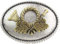 BELTINGER Gürtelschnalle Jagdhorn 4,0 cm | Buckle Wechselschließe Gürtelschließe 40mm Massiv | für Jagd-Outfit | bicolor s/g