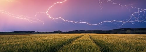 Ravensburger Puzzle 12000685 - Nature Edition, Sommergewitter - 500 Teile Puzzle für Erwachsene und Kinder ab 12 Jahren, Puzzle mit Landschaft und Natur