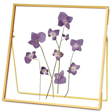 REDHUGO Cadre en verre pour fleurs pressées fait à la main, double cadre en verre, cadre de table, cadre photo simple en métal géométrique flottant en verre, carré, doré, 20,3 x 20,3 cm