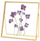 REDHUGO Cadre en verre pour fleurs pressées fait à la main, double cadre en verre, cadre de table, cadre photo simple en métal géométrique flottant en verre, carré, doré, 20,3 x 20,3 cm