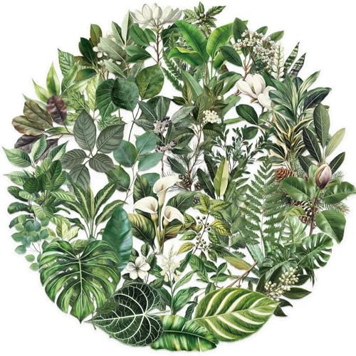 Affoto Transparent Green Plant Stickers (50 PCS), Waterproof & Sun Protection, Ideal for Smooth Surfaces, PVC Material, Eclectic Style, Round Leaf Shape, Outdoor Usage