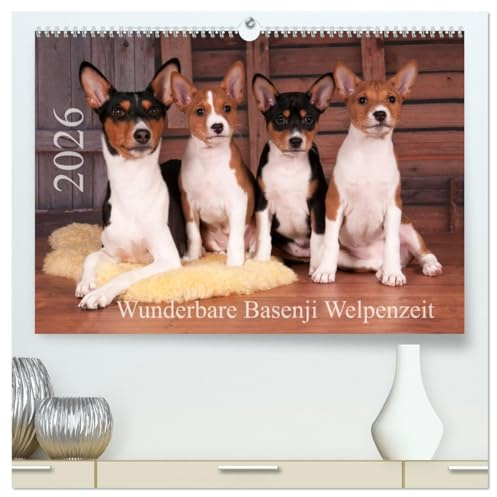 Wunderbare Basenji Welpenzeit (hochwertiger Premium Wandkalender 2026 DIN A2 quer), Kunstdruck in Hochglanz: Basenji-Welpen genießen ihr junges Leben (CALVENDO Tiere)