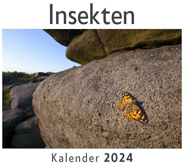 Insekten (Wandkalender 2024, Kalender DIN A4 quer, Monatskalender im Querformat mit Kalendarium, Das perfekte Geschenk)