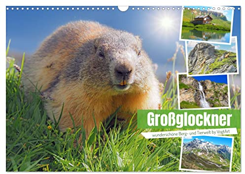 Großglockner wunderschöne Berg- und Tierwelt (Wandkalender 2026 DIN A3 quer), CALVENDO Monatskalender: Hochalpenstraße Großglockner mit Blick auf ... losfahren und erleben! (CALVENDO Natur)