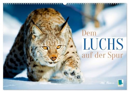 Dem Luchs auf der Spur (Wandkalender 2026 DIN A2 quer), CALVENDO Monatskalender: Luchse: Auf der Pirsch mit leisen Pfoten (CALVENDO Tiere)