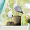 Wandtattoo Loft Fensterbild mit sitzenden Möwen wiederverwendbar, A2 Bogen, Fensteraufkleber Vögel, selbstklebende Fenstersticker, Abziehbilder, Fensterdeko, Vogelaufkleber, Kollisionsschutz Vögel