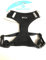 Petlando Brustgeschirr Mesh Vest schwarz L (Halsumfang 37-44 cm, Brustumfang 50-68 cm)