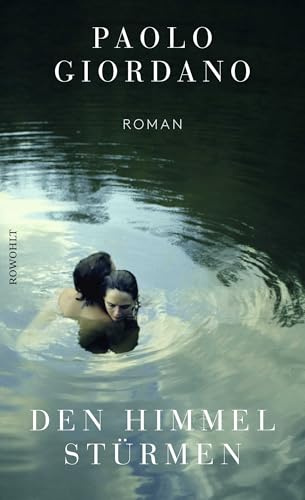 Den Himmel stürmen: Roman