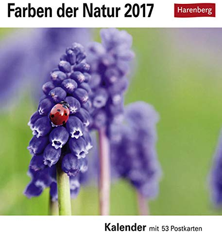 Farben der Natur Postkartenkalender 2023. Farbenprächtige Naturaufnahmen in einem Fotokalender im Postkartenformat. Tischkalender zum Aufstellen mit 53 Postkarten.: Wochenkalender mit 53 Postkarten