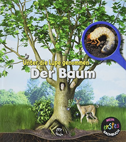 Der Baum: Unter die Lupe genommen