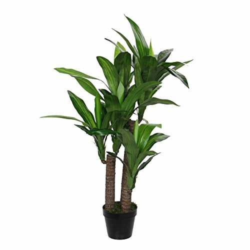 MICA Decorations 1026439 Dracaena en Pot Vert – H110 x D60 cm Plante en Plastique, Caoutchouc, Vert, 60 x 60 x 110 cm