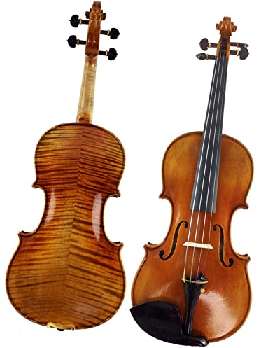 TSTS Violine anfänger Schöne Handgefertigte Akustische Geige Für Erwachsene, Anfänger, Schüler, Mit Koffer, Brasilien-Holzbogen