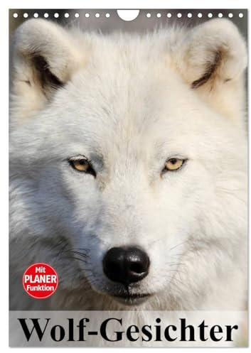 Wolf-Gesichter (Wandkalender 2026 DIN A4 hoch), CALVENDO Monatskalender: Wölfe sind zum heulen schön! (CALVENDO Tiere)