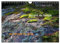Le Bleausard (Calendrier mural 2024 DIN A4 vertical), CALVENDO calendrier mensuel: Le calendrier des fans d'escalade à Fontainebleau