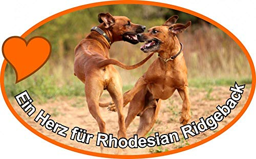Petsigns Toller Selbstklebender Foliensticker - Rhodesian Ridgeback - Haben Sie EIN Herz für Löwenhunde!, 10 cm