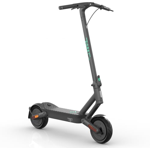 Egret Ey! 2 (DE) Faltbarer Power E-Scooter mit Federung, 10 Luftbereifung + Straßenzulassung (max. 20km/h) Reichweite bis 45 km, App-Steuerung, maximale Zuladung 120kg