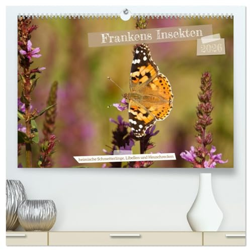 Frankens Insekten (hochwertiger Premium Wandkalender 2026 DIN A2 quer), Kunstdruck in Hochglanz: Entdecken Sie 13 besondere heimische Insekten in ansprechenden Fotografien (CALVENDO Natur)
