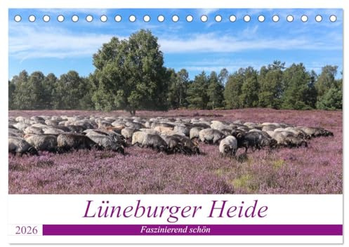 Lüneburger Heide - Faszinierend schön (Tischkalender 2026 DIN A5 quer), CALVENDO Monatskalender: Der Naturpark lädt mit seinen schönen Heideflächen ... Radfahren und Verweilen ein (CALVENDO Orte)