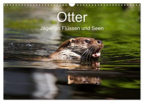 Otter - Jäger an Flüssen und Seen (Wandkalender 2026 DIN A3 quer), CALVENDO Monatskalender: Otter - geschickte Jäger im Wasser (CALVENDO Tiere)