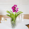 Fleurs et Délices - Orchidée Vanda - Plante d'intérieur Avec cache-pot - Cadeau Fête des Grand-mères - Cadeau Mamie - Fabrication Française Artisanale de Qualité - Cadeau à Offrir Anniversaire