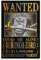 Anime One Piece Wanted Poster Zoro 2 Leinwand Wandkunst Drucke Poster Foto Bild Malerei Poster Raumdekor 30 x 45 cm