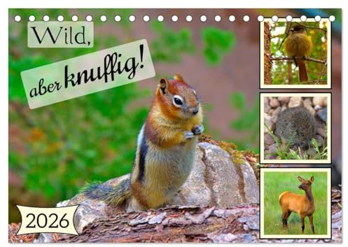 Wild, aber knuffig! (Tischkalender 2026 DIN A5 quer), CALVENDO Monatskalender: Niedlichkeit lauert einfach überall! (CALVENDO Tiere)