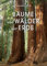 Bäume und Wälder der Erde