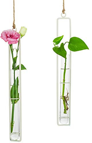Sziqiqi Kreativer Glasvase aus Schmiedeeisen, Hängender Behälter für Wasserkultur, Hängende Flasche Reagenzglas für Blumen, Hängende Betriebsdekoration im Wohnzimmer Garten, Weiß