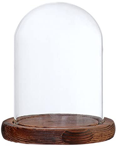Sharplace Cloche en Verre Avec Dôme et Socle en Bois - Brown B