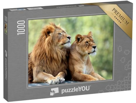 puzzleYOU: Puzzle 1000 Teile „Löwenmännchen und Löwenweibchen“ – aus der Puzzle-Kollektion Löwen, Raubtiere, Tiere in Savanne & Wüste