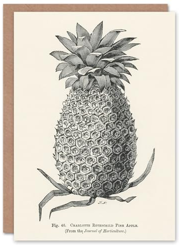 Artery8 John Wright Art Card Vintage Black White Pineapple Illustration
