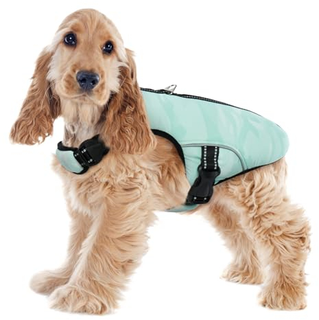 Kühlung für Hunde, Hund Kühlweste Kühler Jacke Kühlende Kleidung Haustiere Kühlende Hundeweste für Outdoor Jagd Training Camping Kühlt Nacken und Brust bei hohen Temperaturen(Grün, L)