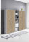 Schrankwand TABOR 10 Büroregal Aktenschränke Büroschrank abschließbar in diversen Farbvarianten (lichtgrau/Gold Harbor Oak)