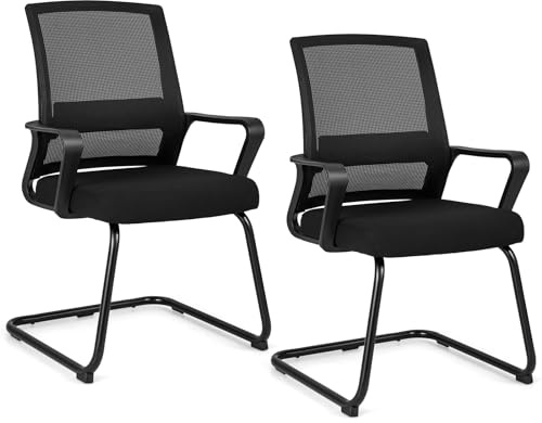 COSTWAY Freischwinger Stühle 2er Set, Schwingstühle mit Armlehne & Lendenwirbelstütze, Bürostühle, Konferenzstühle, Besucherstühle für Büro, Konferenzraum, Arbeitszimmer