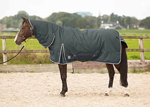 Amesbichler Reitsport Harry`s Horse Outdoordecke Thor 200g Füllung mit Halsteil grau/anthrazit