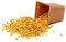 Osmocote 'Exact' - Professional Slow Release Plant Fertiliser - 12-14 Months of Nutrients - Ideal for all Plants (250 Gram)