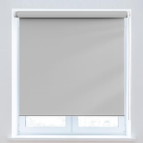 Rollo Für Fenster 80 x 50 cm, Sichtschutz und Sonnenschutz Blickdicht, Verdunkelung Rollos, inklusive Montagematerial, für Fenster & Tür, Hellgrau