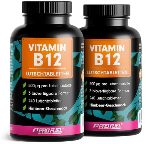Vitamin B12 Lutschtabletten 480x HIMBEERE, 500µg aktives Methylcobalamin B12 pro Tablette, leckerer Geschmack, vegan & hochdosiert, B12 Tabletten zum Lutschen, ohne Zuckerzusatz, mit Xylit gesüßt