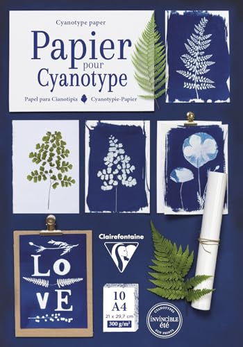 Clairefontaine 95861C Block Cyanotypie-Papier A4 10 Blatt Motive sortiert