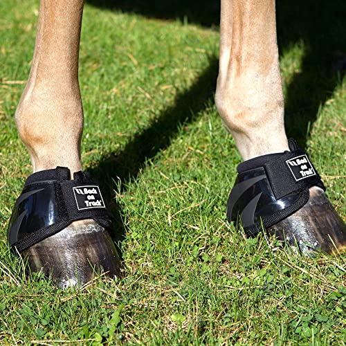 Back on Track Hufglocken Peformance - schwarz