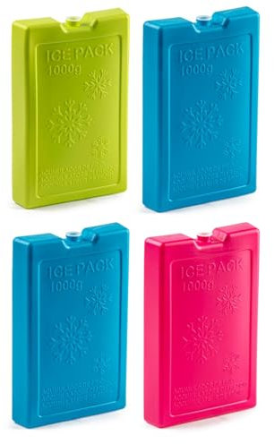 Acan Tradineur - Pack de 4 Acumuladores de Frío N.º 8-1000 G - Fabricado en Plástico - Ideal para Mantener la Temperatura en tu Nevera portátil - 22 x 14,5 x 3,5 cm - Color Aleatorio