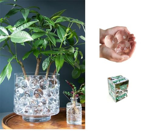 NaDeco Große XXL Deko Wasserperlen, klar, Ø 40-50mm, Beutel mit 20 Stück, für 2 Liter Wasser | Wasserperlen für Pflanzen in Einer Vase | Wasserperlen durchsichtig | Vasendeko | Hydroperlen| Gelkugeln