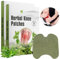Schmerzpflaster Knie, 24 Stück Pain Relief Patch, Joint Schmerzlinderungspflaster, Natural Herbal Wermut Wärmepflaster für Knie, Rücken, Nacken und Muskelkater, Schultern, Entspannen Lockern Muskeln