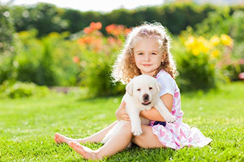 Magnettafel Wunschmotiv Pinnwand Bild personalisiert Ihr Foto Motiv Farbe color, Größe 100 x 80 cm glatt