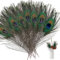 Lithyc Packung Mit 30 StüCk Pfau - Pfauenfeder - Pfauenfedern Lang- NatüRlichen Pfauenfedern – Pfauenfedern (25–30 cm) für Vasen Basteln Zuhause Party Weihnachtsdekoration