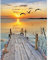 DCIDBEI - Eckige Steine Landschaft Diamond Painting 40x50 cm - Sonnenuntergang am Meer mit Brücken und Schilf, Wilde Gans