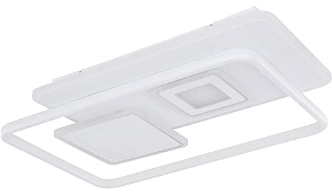 Ceiling Light Dining Room Light Living Room Spotlight Dimmable Remote Control LED Width 65 cm