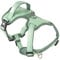 Max & Molly Sport Hundegeschirr Kleine Hunde mit Gotcha! Smart ID Sicherheitsanhänger, Matrix 2.0 Jade/S, Geschirr Hund Gepolstert & Reflektierend - Komfort für deinen treuen Begleiter