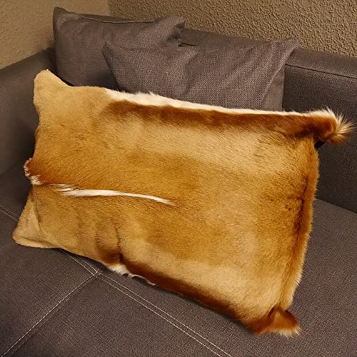 1 Stück Springbock Fellkissen 60 x 40 cm Fell Afrika Antilope Tierfell Sofa Kissen incl. Füllkissen