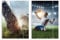 Friendly Fox DIN A4 Sammelmappen Set Fussball & Pokal, 2x Schulmappe Kinder, Postmappe A4 Schule mit Gummizug, bunte Hausaufgabenmappe Kinder Schule